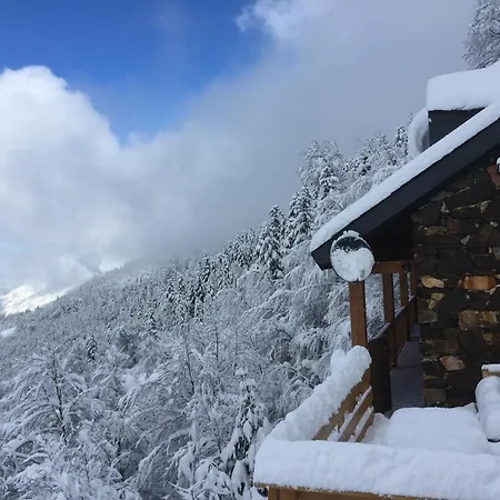 Le Montcalm Le Desman